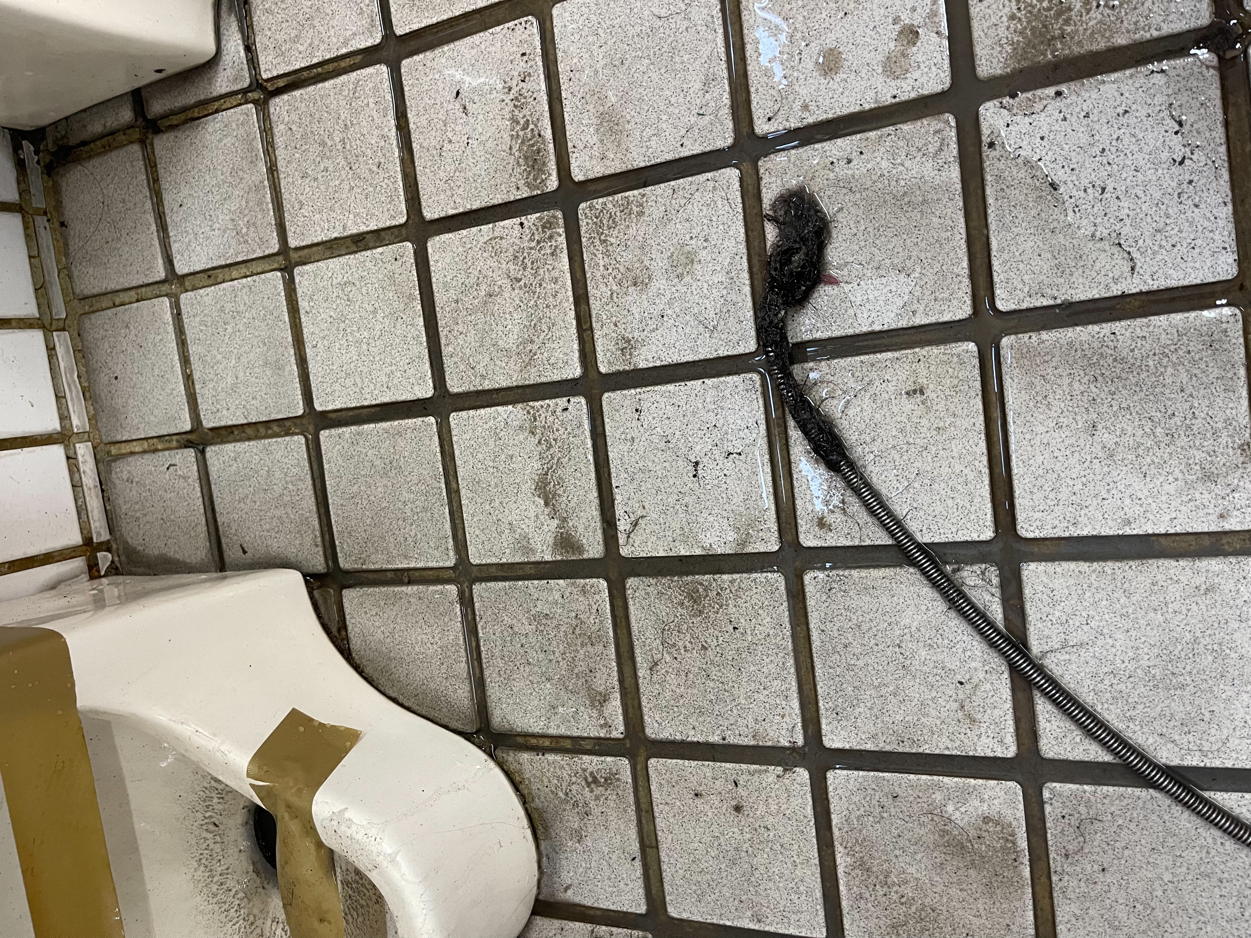 宜蘭學校通小便斗